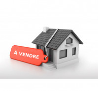 Location, vente et achat de biens immobiliers (parcelles, maisons, villas)